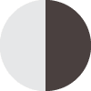Ivory Earth