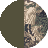 Deep Lichen Subalpine
