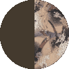 Earth Waterfowl