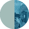 Saltwater Blue Aquafade