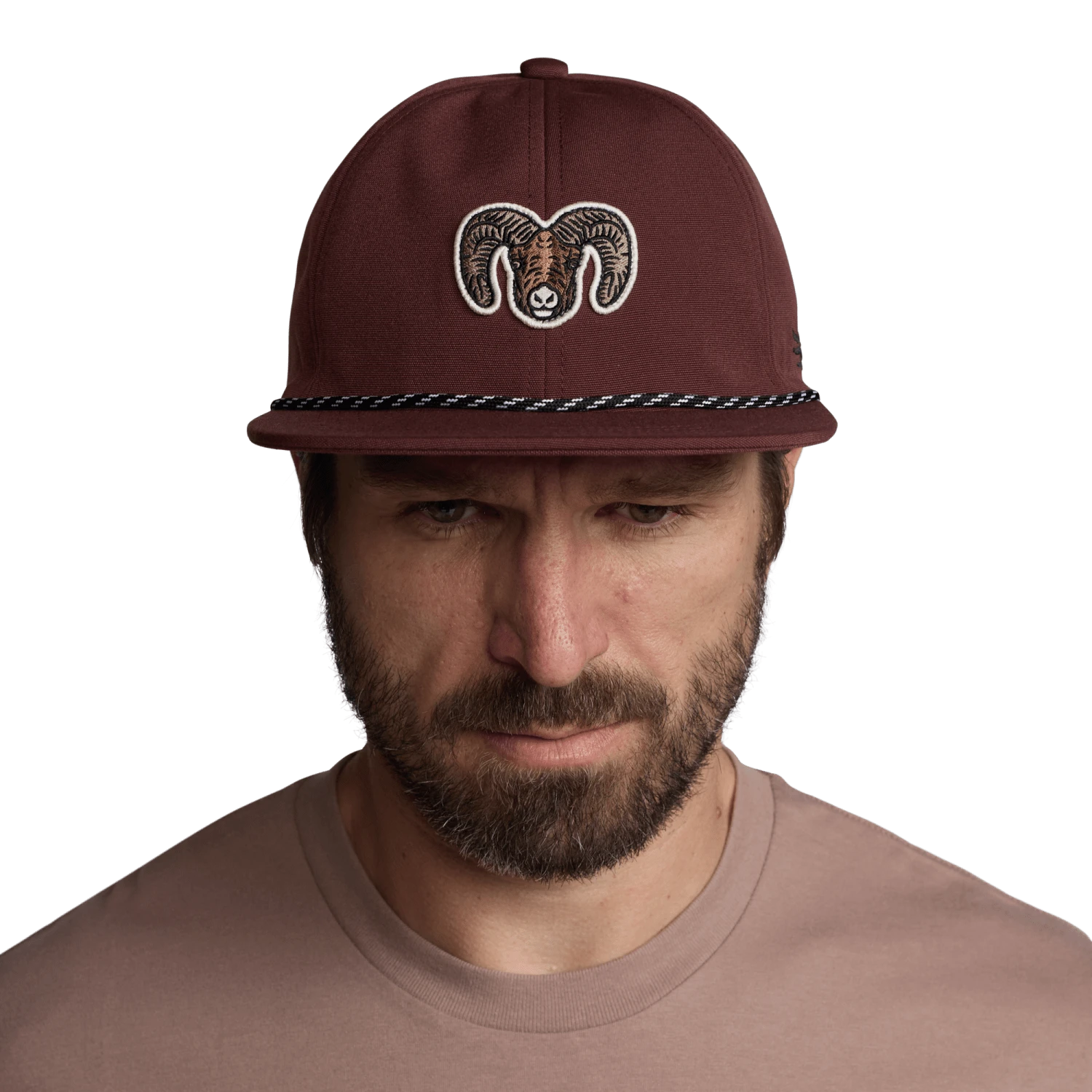 Species Unstructured Snapback