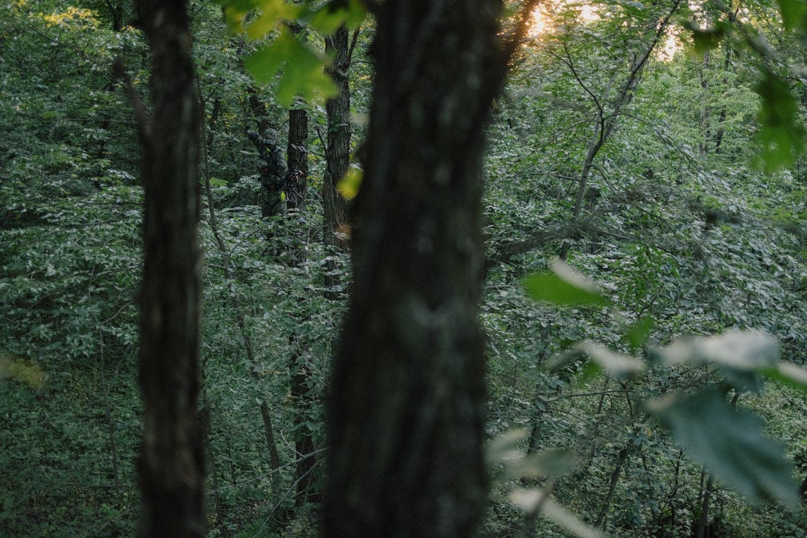 What to Wear Deer Hunting for a Successful Hunt