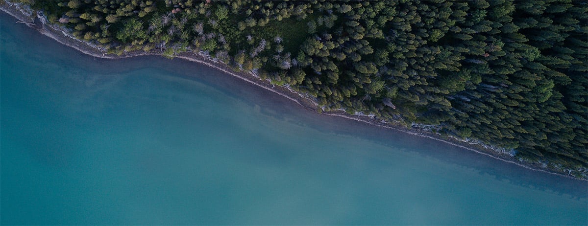 SITKA Ecosystem Grants