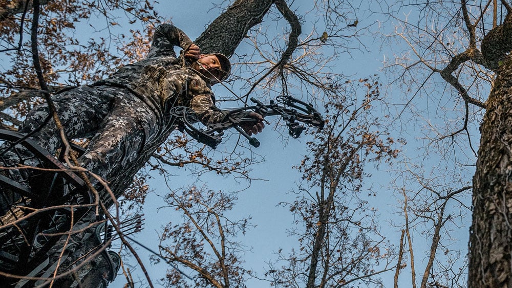 Deer Year - Are You Ready?