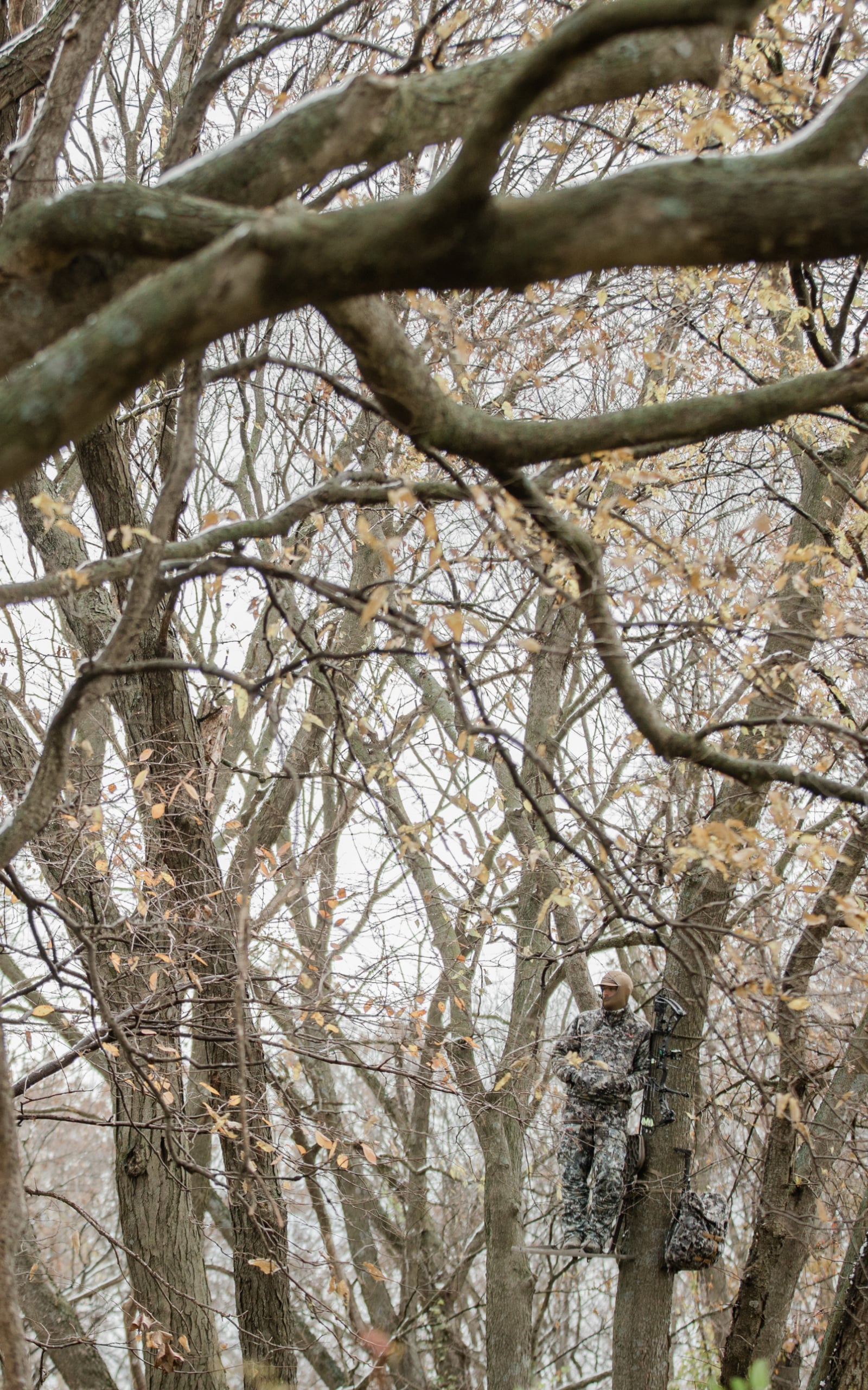 Man in treestand wearing Optifade Elevated II | SITKA gear