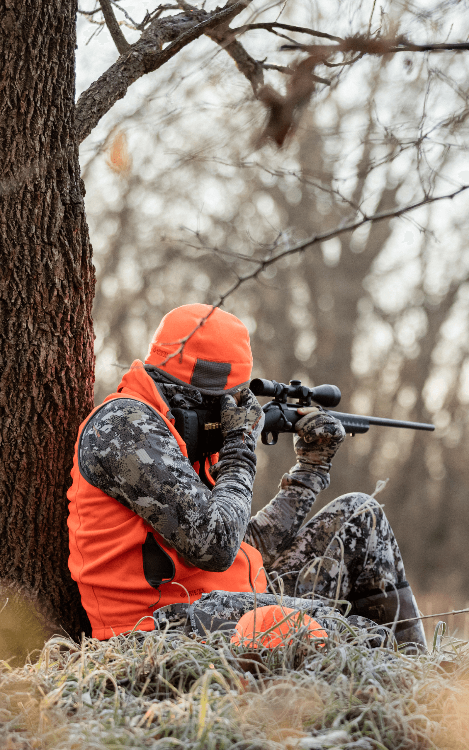 Where to shoot a deer