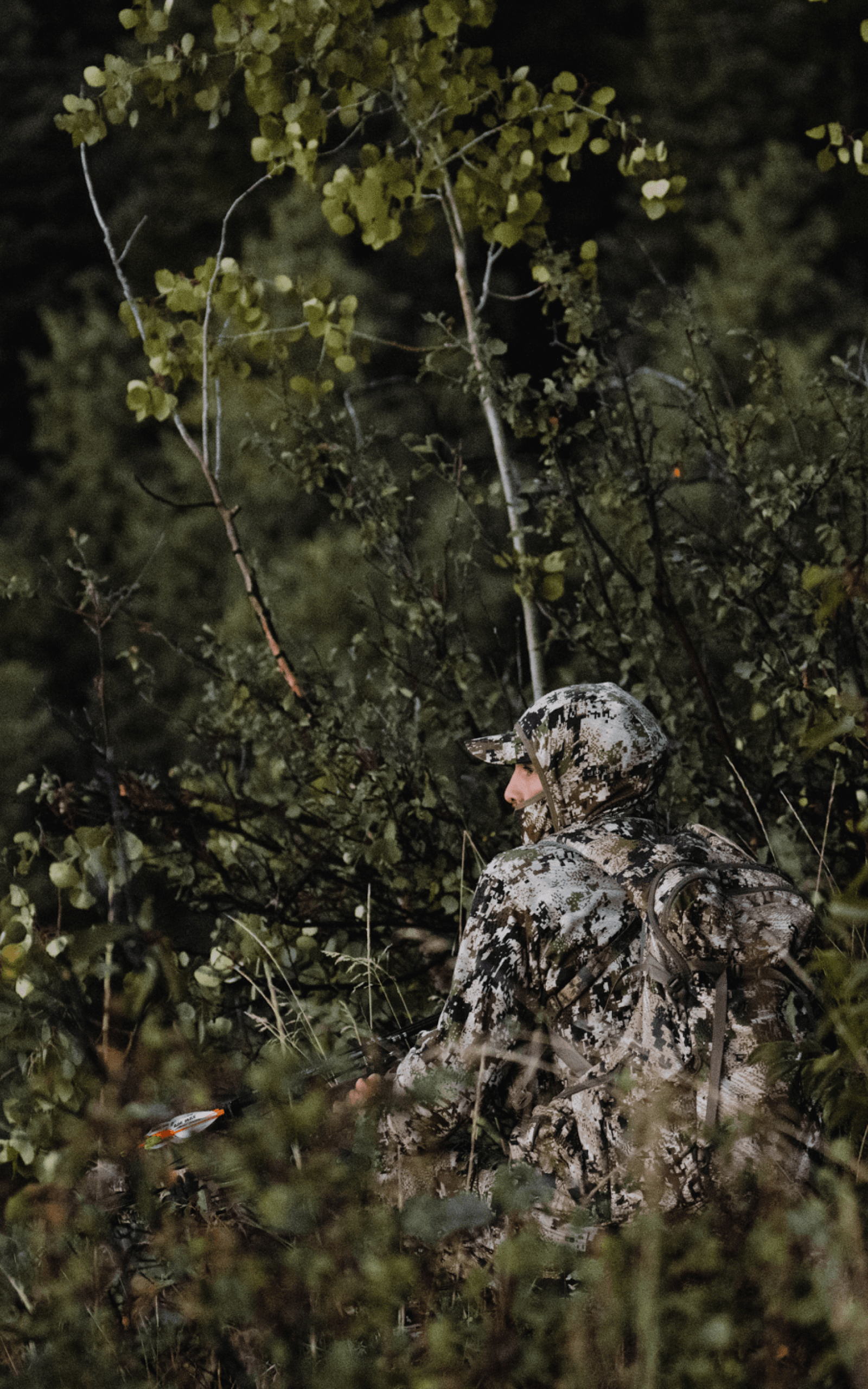 Adam Foss in the Apex Collection stalking in vegetated terrain in Optifade Subalpine | SITKA Gear